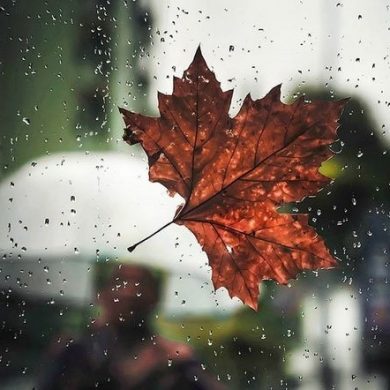 تصویر آلبوم دانلود پلی لیست آهنگ های  غمگین پاییزی