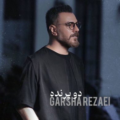 تصویر آلبوم دانلود آهنگ گرشا رضایی به نام دو پرنده