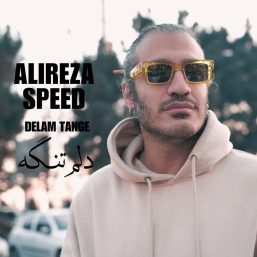 ریمیکس دلم تنگه