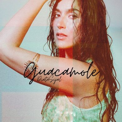 تصویر آلبوم دانلود آهنگ جدید سیجل به نام Guacamole