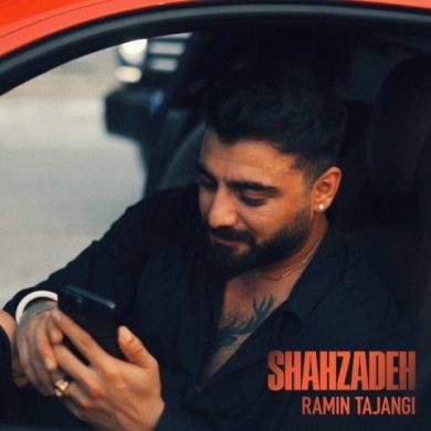 تصویر آلبوم دانلود آهنگ جدید رامین تجنگی به نام شاهزاده