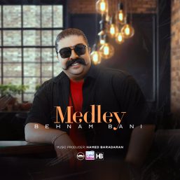 دانلود آهنگ مدلی شاد بهنام بانی