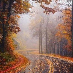 پلی لیست پاییزی (وقتی تنهایی و دلگیری)