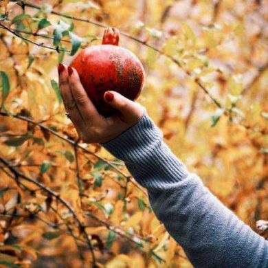 تصویر آلبوم دانلود ریمیکس خوراک پاییز ( مجید رضوی ، نوان ، حامیم ، هوروش بند ، مهیار ، مسیح و آرش )