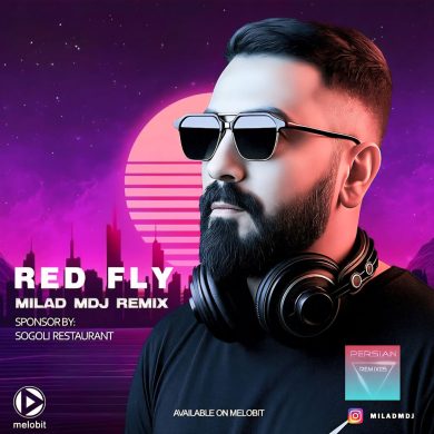 تصویر آلبوم دانلود ریمیکس ریتمیک دلتنگی ( مهیار ، دکاموند ، مسعود صادقلو ، کیارش ، نوان ، ایهام )