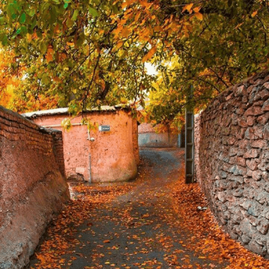 تصویر آلبوم دانلود ریمیکس پاییزی مخصوص دور دور ( داریوش ، گوگوش ، ابی ، حبیب ، قمیشی ، شادمهر عقیلی ، هایده )