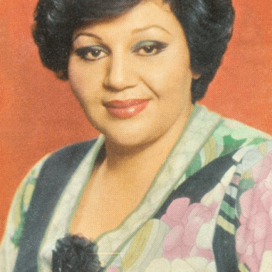 تصویر آلبوم ترانه‌های خاطره‌انگیز بانو هایده  | صدایی که هنوز می‌درخشد