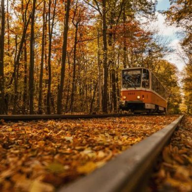 تصویر آلبوم دانلود ریمیکس تلفیقی نوستالژی و مدرن مخصوص دور دور و جاده ( فرامرز اصلانی ، آرمین زارعی ، فرهاد ، شاهین نجفی ، حبیب ، تتلو ، ابی )
