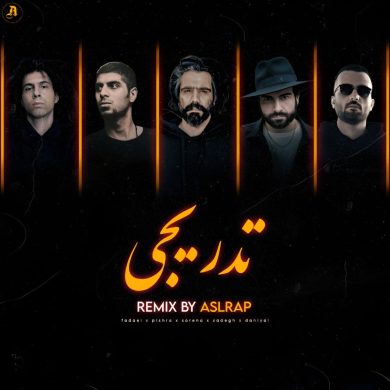 تصویر آلبوم دانلود ریمیکس تدریجی باحضور  ( سورنا، صادق، پیشرو، فدایی و دانیال  )