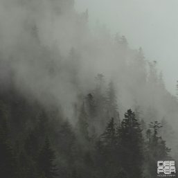 دانلود آهنگ جدید Riltim به نام Reflections