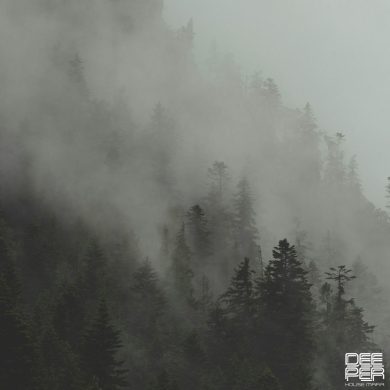 تصویر آلبوم دانلود آهنگ جدید Riltim به نام Reflections