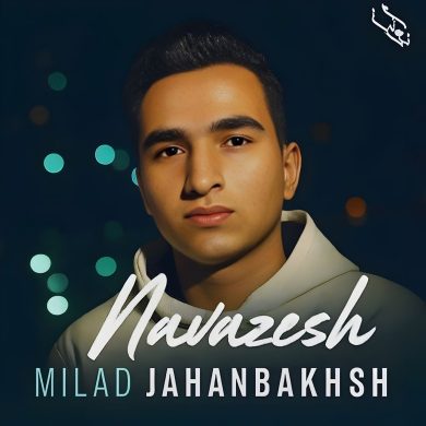 تصویر آلبوم دانلود آهنگ نوازش از میلاد جهانبخش