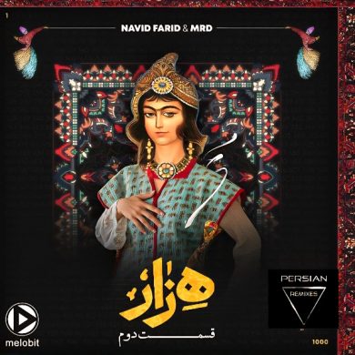 تصویر آلبوم دانلود ریمیکس هزار قسمت ۲ ( Hezar Ghese 2)