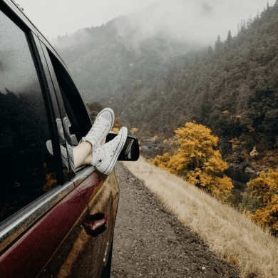 تصویر آلبوم پلی‌لیست عاشقانه جاده‌ای 🍂 با شادمهر، سیاوش قمیشی، داریوش، ابی و چاوشی