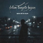 دانلود ریمیکس جدید به نام « دلم تنگ میشه بازم »