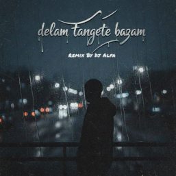 دانلود ریمیکس جدید به نام « دلم تنگ میشه بازم »