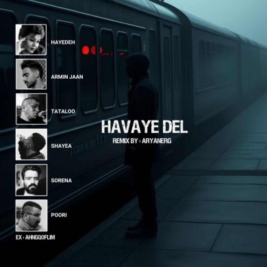 تصویر آلبوم دانلود ریمیکس هوای دل (هایده، امیر تتلو، شایع، علی سورنا، گاد پوری)