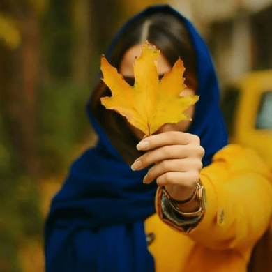 تصویر آلبوم پادکست «پاییز با طعم نوستالژی»؛  از هایده، چاوشی، قمیشی و شجریان و ..