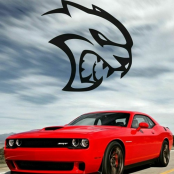 وقتشه یک حالی به سیستمتون بدین