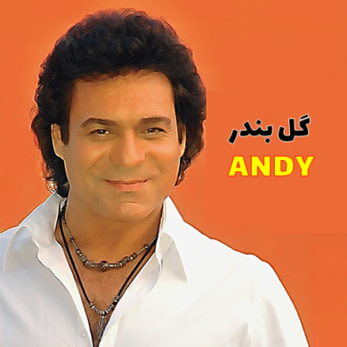 تصویر آلبوم این ریمیکس شاد «گل بندر» از اندی حال‌و‌هواتو عوض می‌کنه! 💃🎶