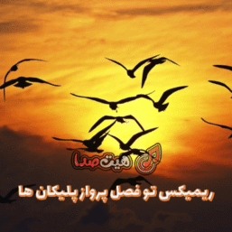 دانلود اهنگ تو فصل پرواز پلیکان ها ریمیکس اینستا با ویولن