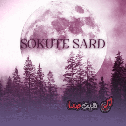 دانلود ریمیکس سکوت سرد | سورنا، یاس، تتلو، ناجی، پوری، هیپهاپولوژیست و مهیاد