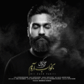 دانلود آهنگ جدید علی زند وکیلی به نام بخواب آروم