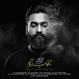 دانلود آهنگ جدید علی زند وکیلی به نام بخواب آروم