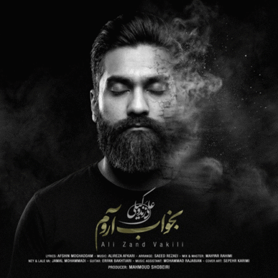 تصویر آلبوم دانلود آهنگ جدید علی زند وکیلی به نام بخواب آروم