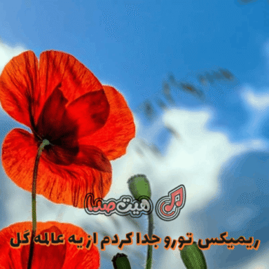 تصویر آلبوم دانلود ریمیکس جدید تورو جدا کردم از یه عالمه گل