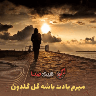 تصویر آلبوم دانلود اهنگ میرم یادت باشه گل گلدون ریمیکس