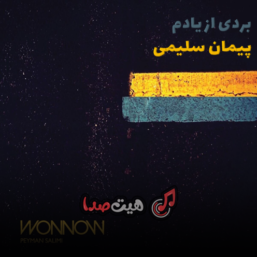 دانلود آهنگ پیمان سلیمی به نام بردی از یادم