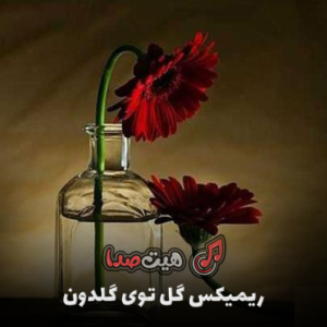 ریمیکس گل توی گلدون باز دوباره داره میمیره از دیجی سهیل 