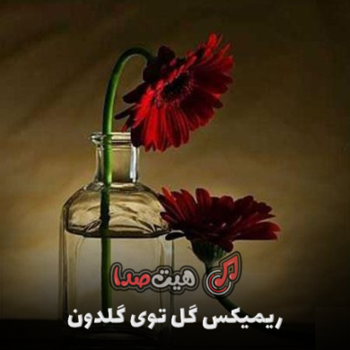 تصویر آلبوم ریمیکس گل توی گلدون باز دوباره داره میمیره از دیجی سهیل 