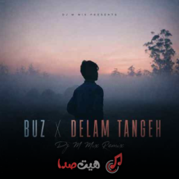 دانلود ریمیکس دلم تنگه (مجید رضوی) و Kadir Taştan – Buz (دیجی ام‌میکس)