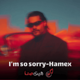 دانلود آهنگ آیم سو ساری از هامکس 