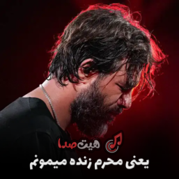 دانلود نوحه یعنی محرم زنده میمونم ریمیکس اینستا