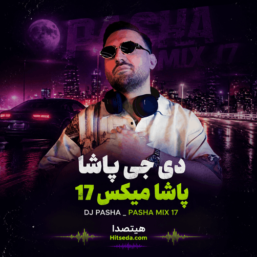 پاشا میکس 17 | ریمیکس ملایم مخصوص تنهایی و دور دور شبانه (کیفیت عالی)