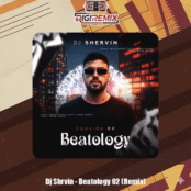 ریمیکس رپ پارتی و دور دور از دیجی شروین به نام Beatology 02