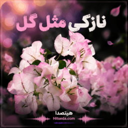 آهنگ نازکی مثل گل (تمام اجراها + ریمیکس) | نسخه اصلی و ریمیکس احساسی