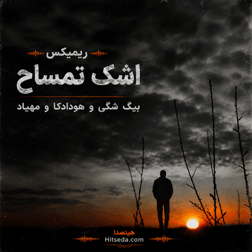 کاور دانلود ریمیکس اشک تمساح با صدای بیگ شگی، هودادکا و مهیاد