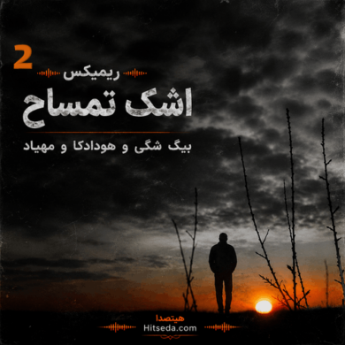 تصویر آلبوم آهنگ اشک تمساح 2 از دیجی لونی | ریمیکس جدید