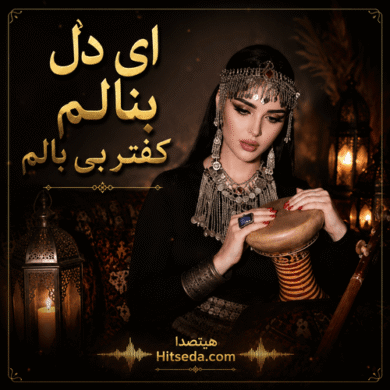 تصویر آلبوم آهنگ پرسوز احساسی ای دل بنالم کفتر بی بالم
