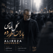 کاور دانلود آهنگ جدید گل های باران خورده از علیرضا قربانی با کیفیت 320 و پخش آنلاین