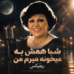 کاور آهنگ شبا همش به میخونه میرم نسخه اصلی و ریمیکس با کیفیت بالا