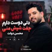 آهنگ دلی دوست دارم جفت شیش منی محسن دولت