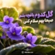 آهنگ گل کدوم باغچه بشم هوش مصنوعی
