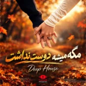 ریمیکس مگه میشه دوست نداشت قلب من راهی نداره