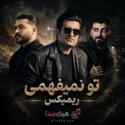 کاور ریمیکس تو نمیفهمی محسن لرستانی رضا کرمی تارا