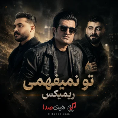 تصویر آلبوم ریمیکس تو نمیفهمی رامین تجنگی و رضا کرمی تارا